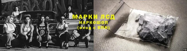 ГАЛЛЮЦИНОГЕННЫЕ ГРИБЫ Алзамай