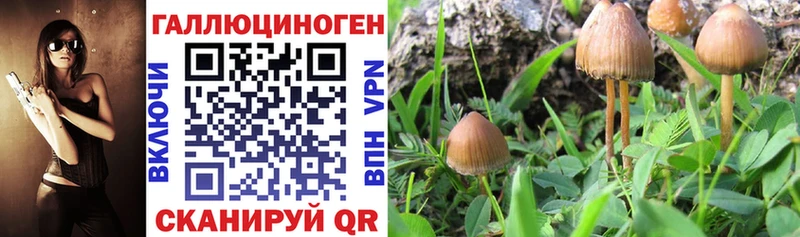 Галлюциногенные грибы ЛСД mega зеркало Байкальск наркота
